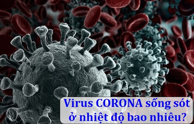 Covid-19 sống sót trong nhiệt độ bao nhiêu? - ảnh 1