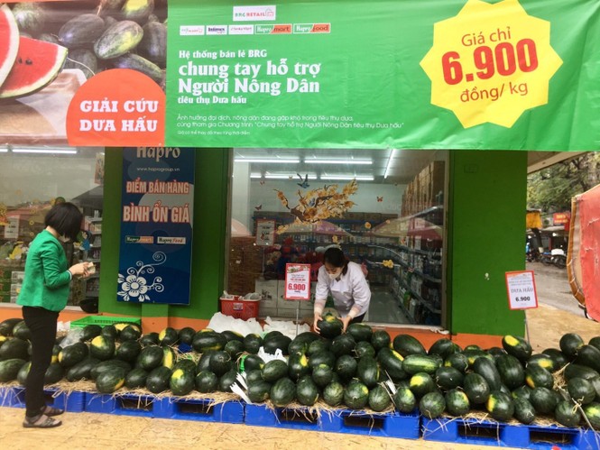 Hapro – Tái cơ cấu để tập trung phát triển các lĩnh vực cốt lõi có hiệu quả - ảnh 3