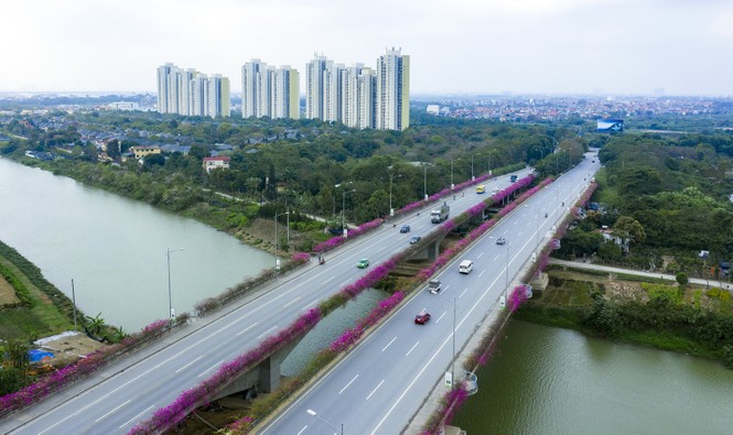 Mục sở thị những cây cầu đẹp như tranh trong lòng thành phố xanh Ecopark - ảnh 1 Mục sở thị những cây cầu đẹp như tranh trong lòng thành phố xanh Ecopark - ảnh 1