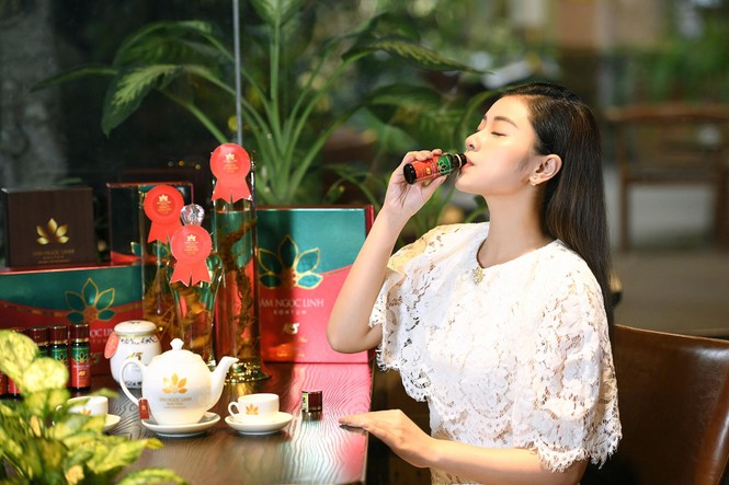 Công ty cổ phần Sâm Ngọc Linh Kon Tum giới thiệu sản phẩm tăng đề kháng - ảnh 3