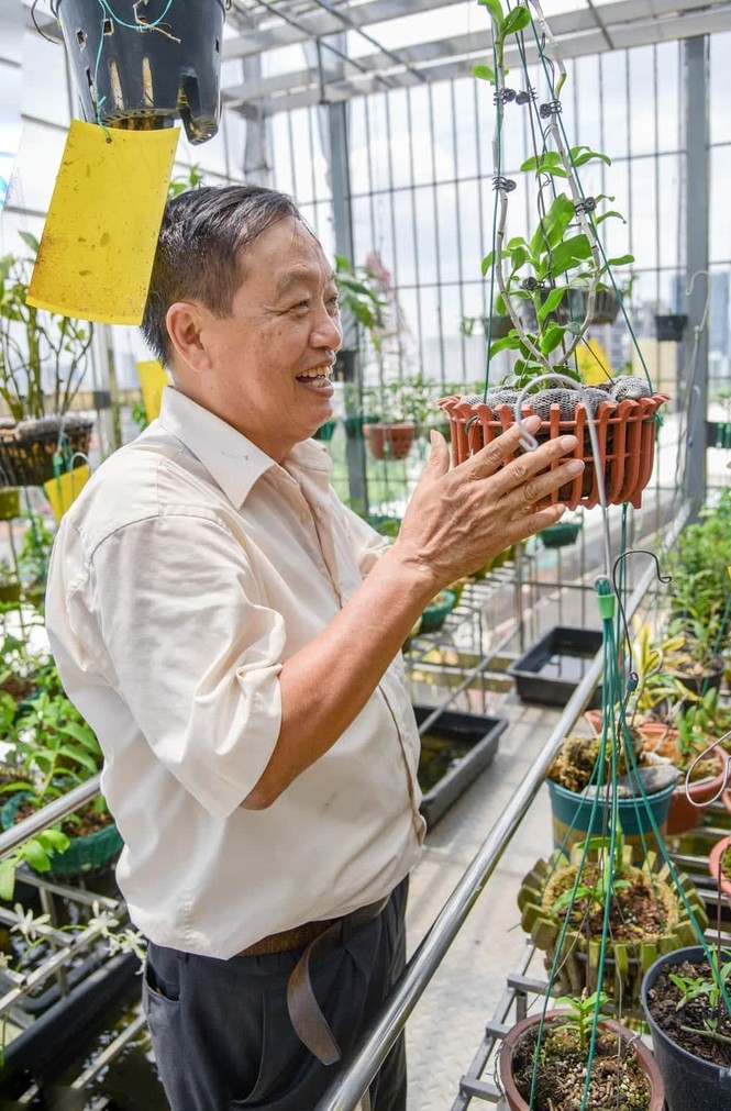 Giải mã hiện tượng hoa lan đột biến có giá trị hàng chục tỉ đồng - ảnh 2