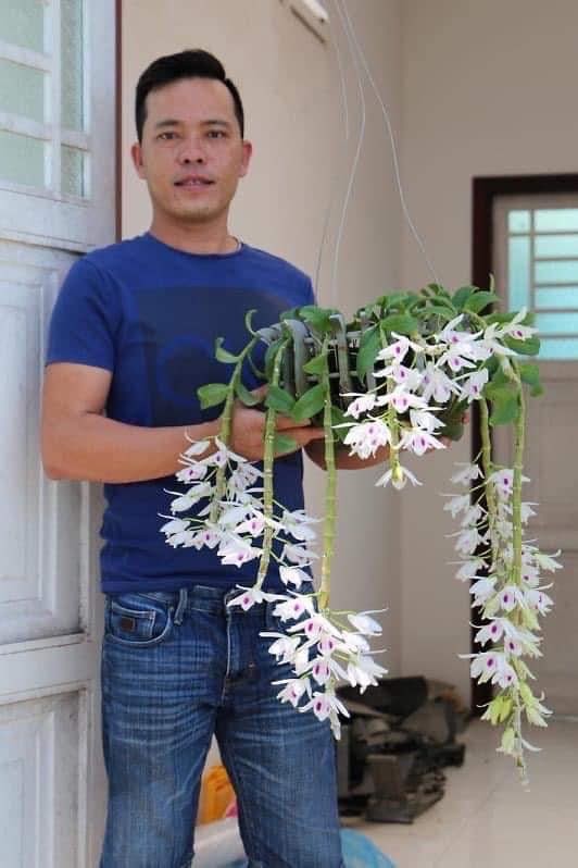 Giải mã hiện tượng hoa lan đột biến có giá trị hàng chục tỉ đồng - ảnh 3