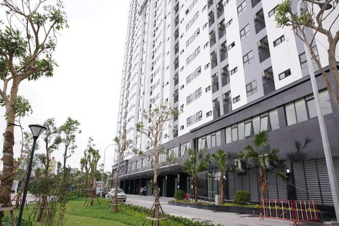 Chung cư xuống cấp tại Hải Phòng được ‘thay da đổi thịt’ ngoạn mục - ảnh 3 Chung cư xuống cấp tại Hải Phòng được ‘thay da đổi thịt’ ngoạn mục - ảnh 3