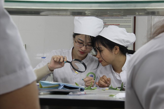 Đại học Kinh doanh và Công nghệ Hà Nội: Nguồn 'cung' nhân lực chất lượng - ảnh 1