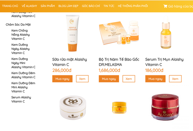 Alaishy Việt Nam đột phá doanh thu nhờ ứng dụng Digital Marketing hiệu quả - ảnh 3