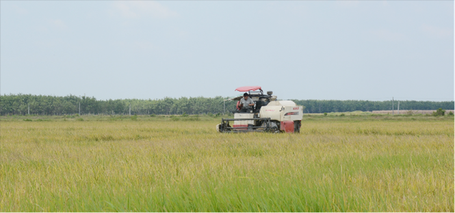 Chiến dịch Chăm sóc máy Yanmar 2020: Đồng loạt, thiết thực, hiệu quả - ảnh 2