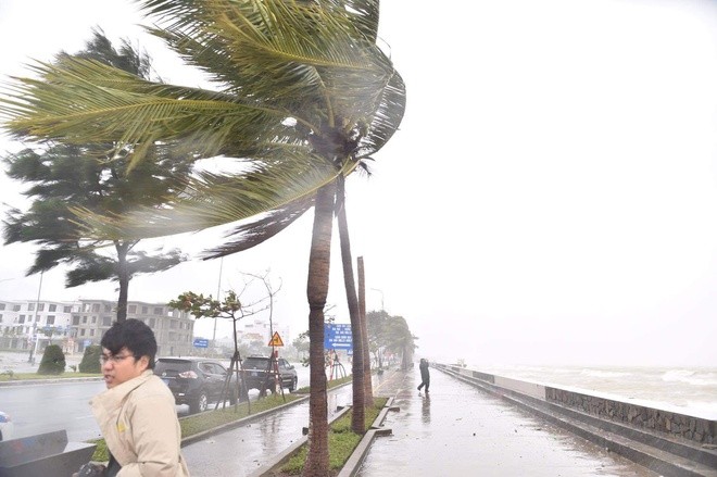 Bão Goni di chuyển nhanh khi vào Biển Đông - ảnh 1