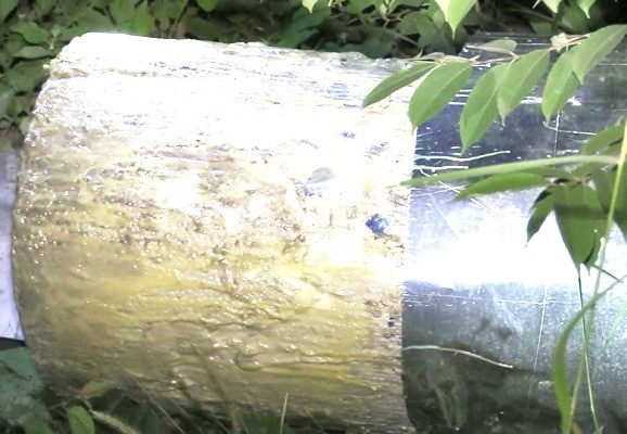 Vụ phát hiện hai thi thể trong thùng trộn bê tông: Bộ Công an vào cuộc - ảnh 1