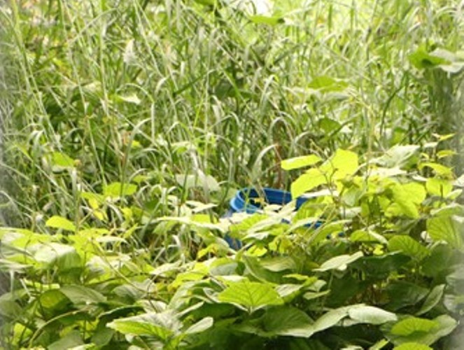Dựng lại hiện trường vụ giết người đúc bê tông gây chấn động Bình Dương - ảnh 5