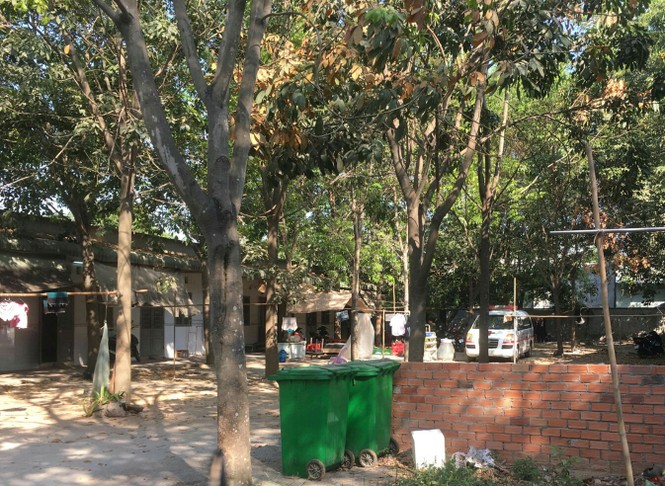 Vợ về quê ăn Tết, chồng chết bất thường trong phòng trọ - ảnh 1