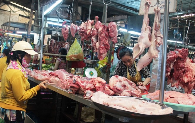 Cần Thơ triển khai biện pháp cấp bách phòng, chống dịch tả heo châu Phi - ảnh 1