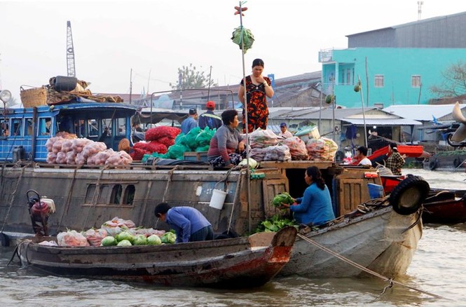 Thực hiện đề án bảo tồn và phát triển chợ nổi Cái Răng cần cẩn trọng - ảnh 1