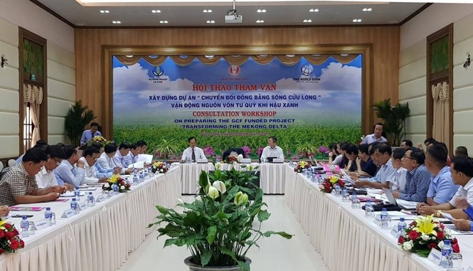 Liên Hợp Quốc dự kiến tài trợ 40 triệu USD cho dự án Chuyển đổi ĐBSCL - ảnh 1