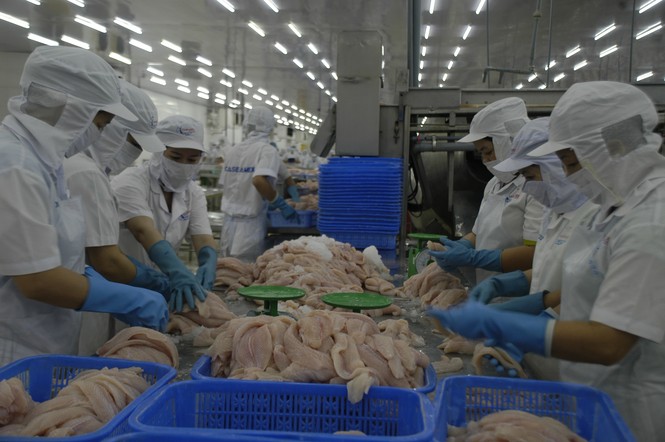 Xuất khẩu tôm sang Mỹ cả năm 2020 dự kiến tăng 20% - ảnh 2