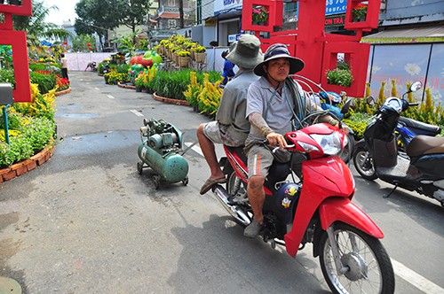 80 ngàn chậu hoa tươi kết đường hoa Cần Thơ - ảnh 6