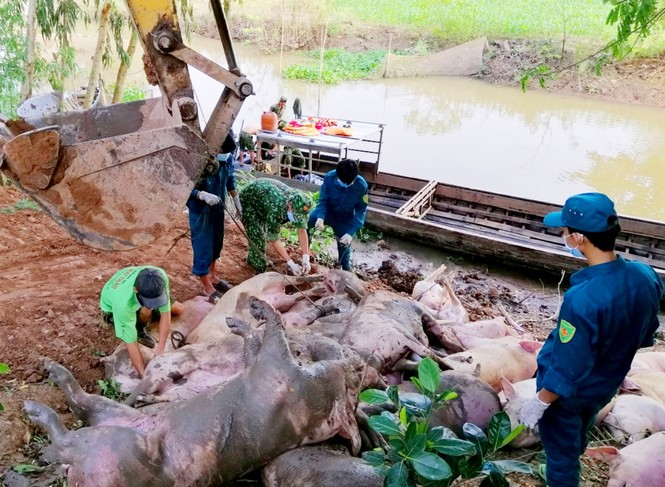 Xử lý nghiêm đối tượng lừa đảo xuất khẩu lao động - ảnh 2