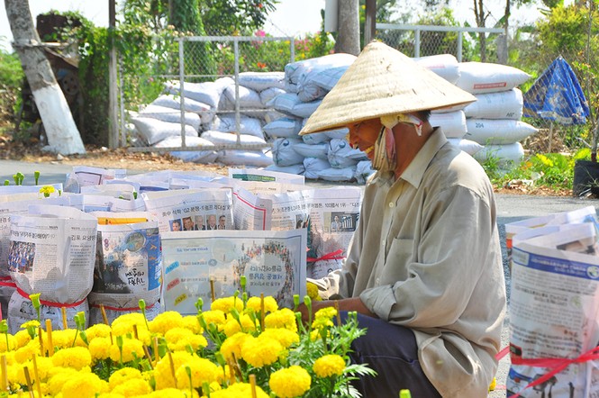 Hoa kiểng khoe sắc rời quê lên phố - ảnh 9