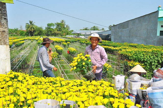 Hoa kiểng khoe sắc rời quê lên phố - ảnh 6