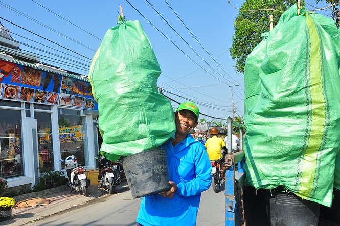 Hoa kiểng khoe sắc rời quê lên phố - ảnh 16