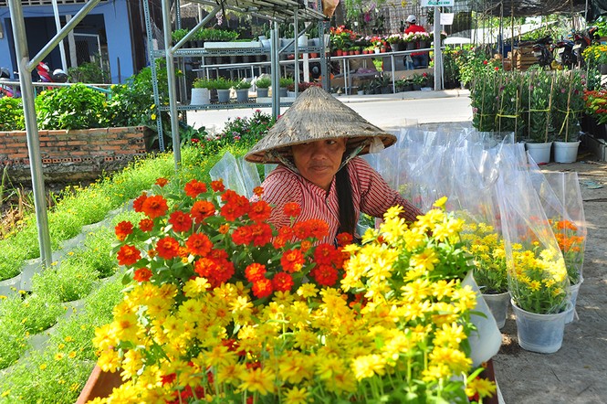 Hoa kiểng khoe sắc rời quê lên phố - ảnh 18