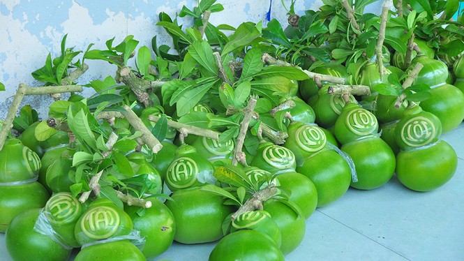 Mê mẩn với vườn đào tiên thư pháp của lão nông miền Tây - ảnh 10