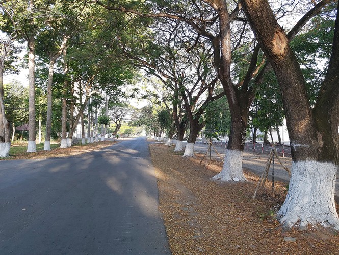 Đường phố vắng hoe ngày đầu năm mới - ảnh 6