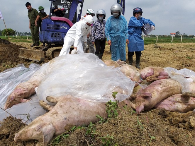 10 Sự kiện tiêu biểu năm 2019 - ảnh 9