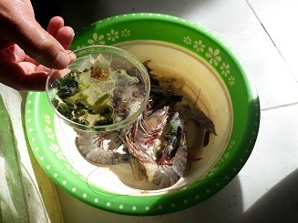 Thu giữ lượng lớn tôm căng, mập bất thường do bơm chất độc hại - ảnh 2