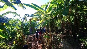Vùng lũ Mường Lát cạn lương thực: Vượt sông, băng rừng cứu trợ - ảnh 4