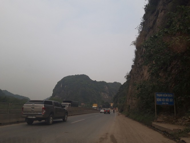 Một ngày ở Trạm kiểm dịch tả lợn Bắc - Nam - ảnh 5