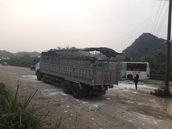 Một ngày ở Trạm kiểm dịch tả lợn Bắc - Nam - ảnh 2