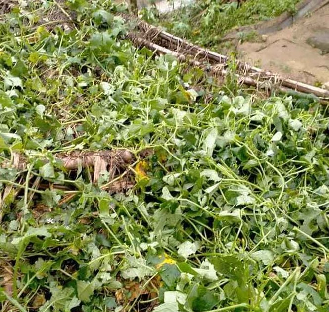 Mưa đá, dông lốc đã làm 1 người chết, gần 1.700 nhà bị hư hỏng, tốc mái - ảnh 4