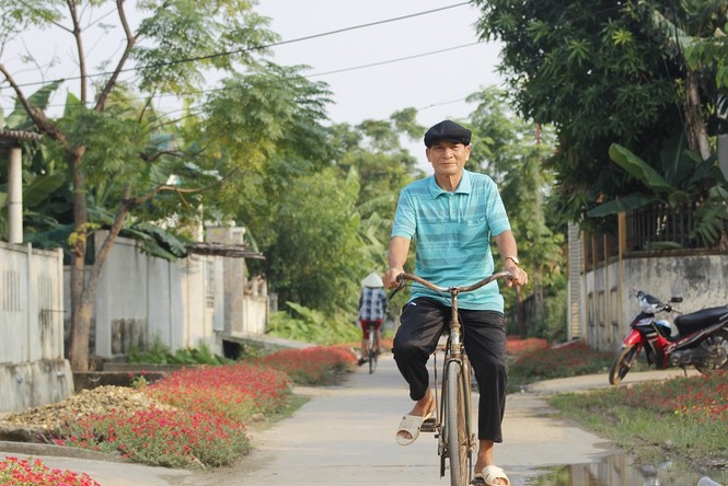 Ngắm đường hoa sam kiểng độc nhất ở Quảng Bình - ảnh 9
