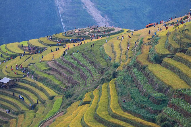 Cơn sốt đồi mâm xôi ở La Pán Tẩn - ảnh 2