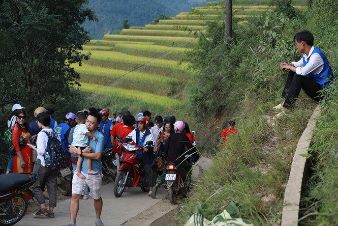 Cơn sốt đồi mâm xôi ở La Pán Tẩn - ảnh 5
