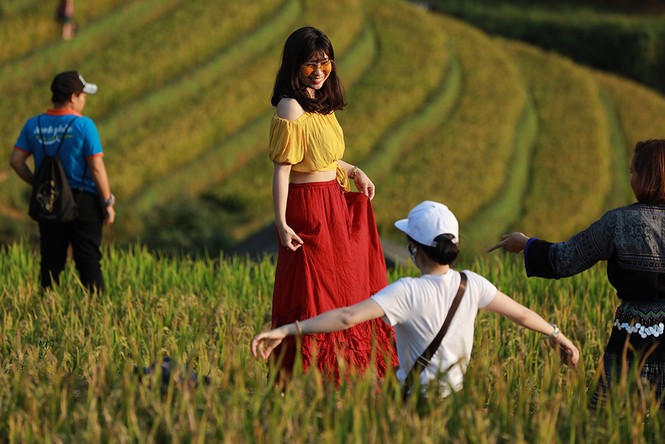 Cơn sốt đồi mâm xôi ở La Pán Tẩn - ảnh 9