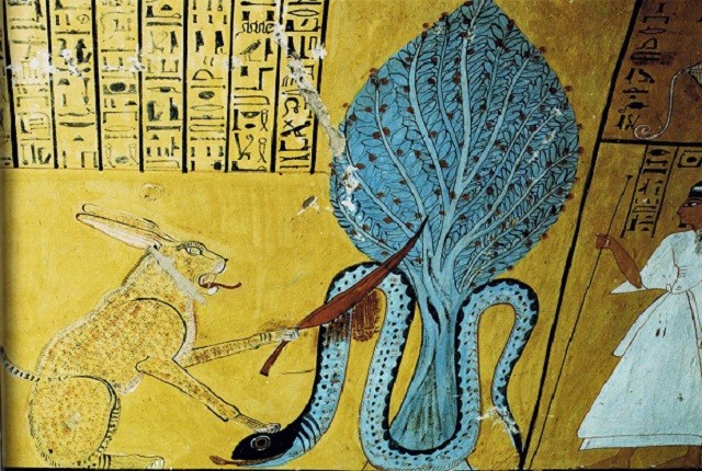 Bí ẩn về loài rắn của nữ hoàng Cleopatra - ảnh 3
