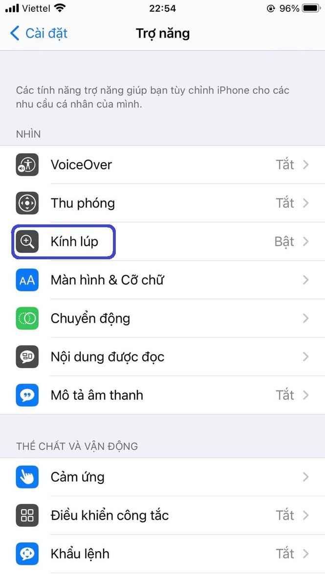 Mẹo kích hoạt tính năng kính lúp trên iPhone - ảnh 3