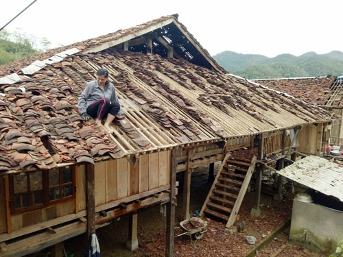 Mưa đá ở Bắc Kạn - ảnh 1