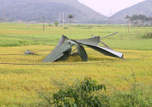 Lốc xoáy ở Hà Tĩnh - ảnh 4