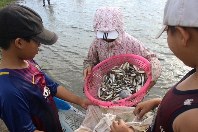 Lễ hội bắt cá Đồng hoa - ảnh 9