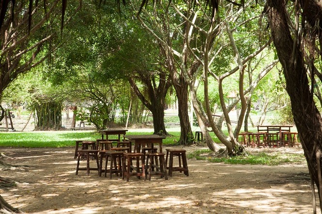 Điểm vui chơi đi về trong ngày từ Sài Gòn vào ngày 2/9 - ảnh 4