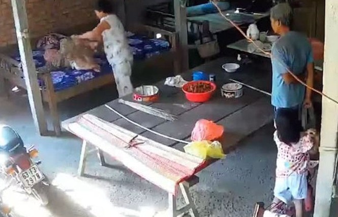 Bắt tạm giam hai vợ chồng bạo hành mẹ già 88 tuổi ở Tiền Giang - ảnh 1