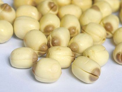 Các loại hạt, củ, quả chống đau lưng - ảnh 1