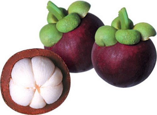 6 loại quả màu đen cực tốt nên ăn nhiều để đẹp da, giữ dáng - ảnh 4