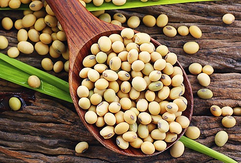Thức ăn tốt và