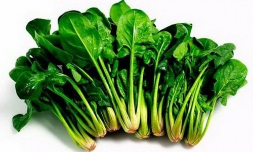 Rau cải chứa một số hóa chất thực vật khác giúp ức chế sự phát triển các khối u (Ảnh minh họa).