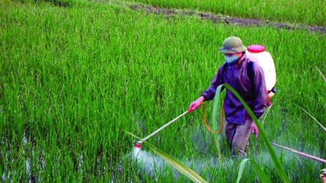 Sốc với kết quả xét nghiệm hoá chất độc hại trong máu của người Hà Nội - ảnh 1