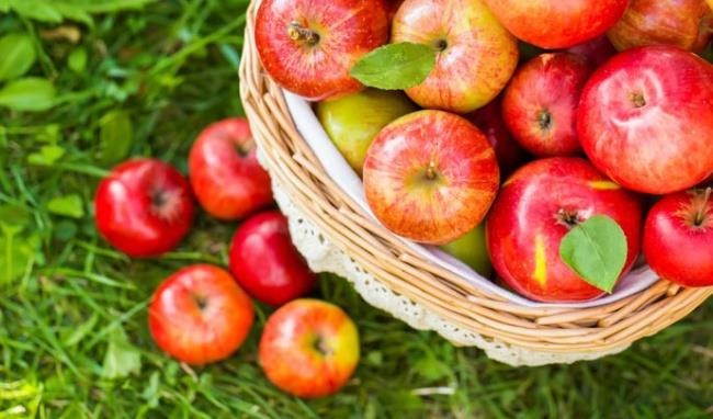 Những loại quả 'rất lành' người bị tiểu đường nên ăn - ảnh 1