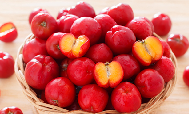 Loại quả chứa vitamin C 'khủng' gấp hàng chục lần cam, dứa ít người biết - ảnh 1